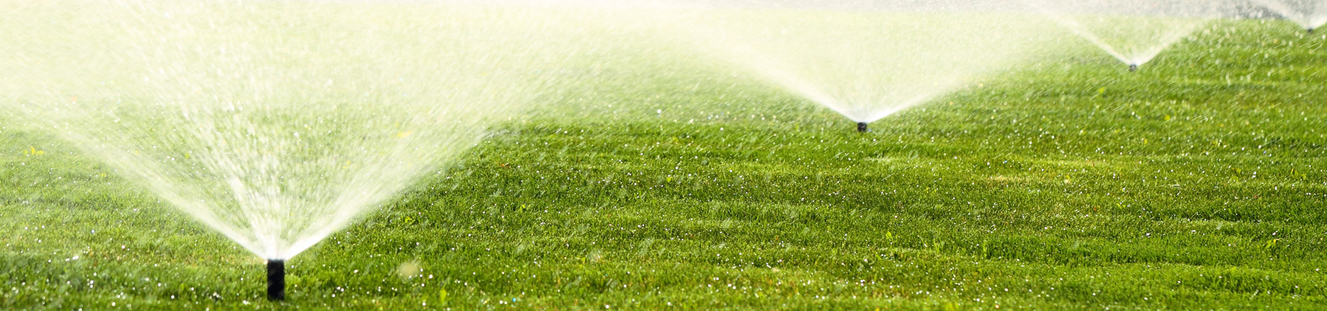 irrigation